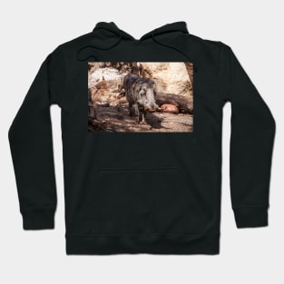 Warthog Hoodie